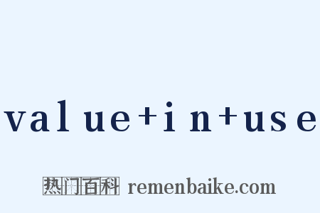 value+in+use是什么意思的图片